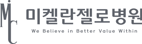 ���̶����κ���